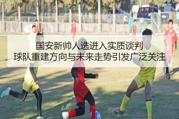 国安新帅人选进入实质谈判 球队重建方向与未来走势引发广泛关注（ManBetX）